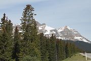 44 - Bow Lake  - IMG_0884